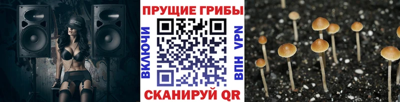 Псилоцибиновые грибы ЛСД  где купить   Слободской 
